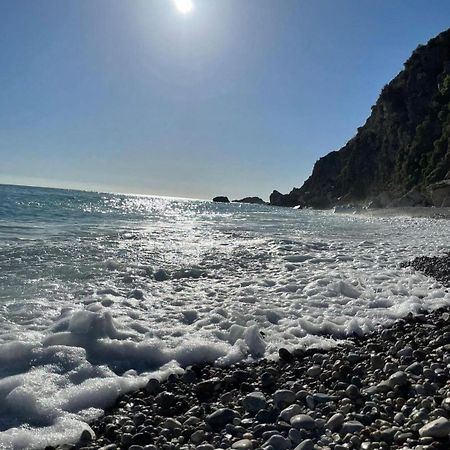 Apartments Villa Simonovic Petrovac Екстериор снимка