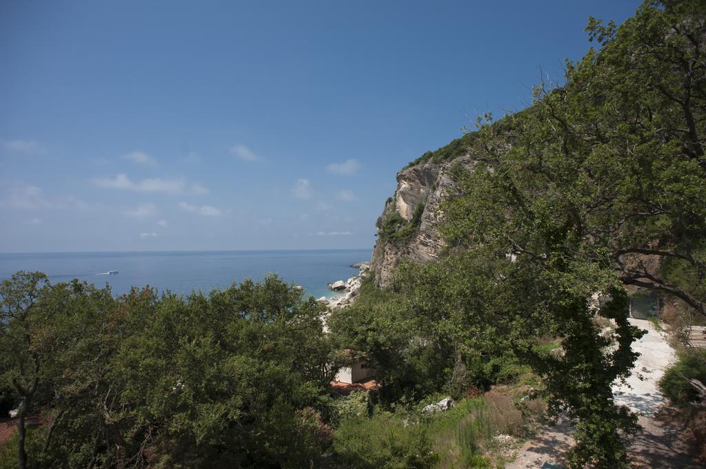Apartments Villa Simonovic Petrovac Екстериор снимка